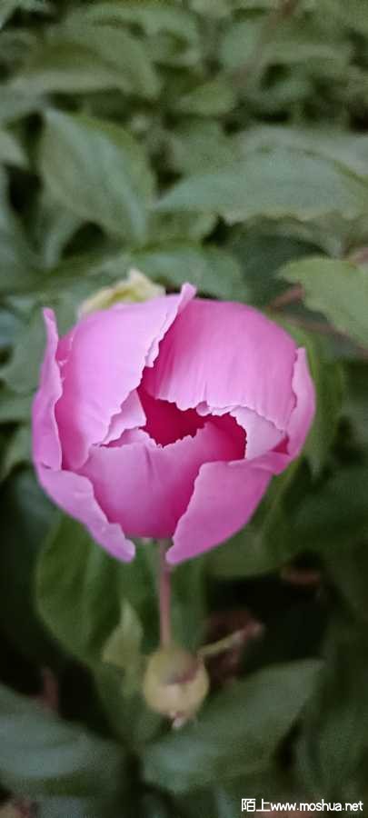 IMG20220417182521.jpg
