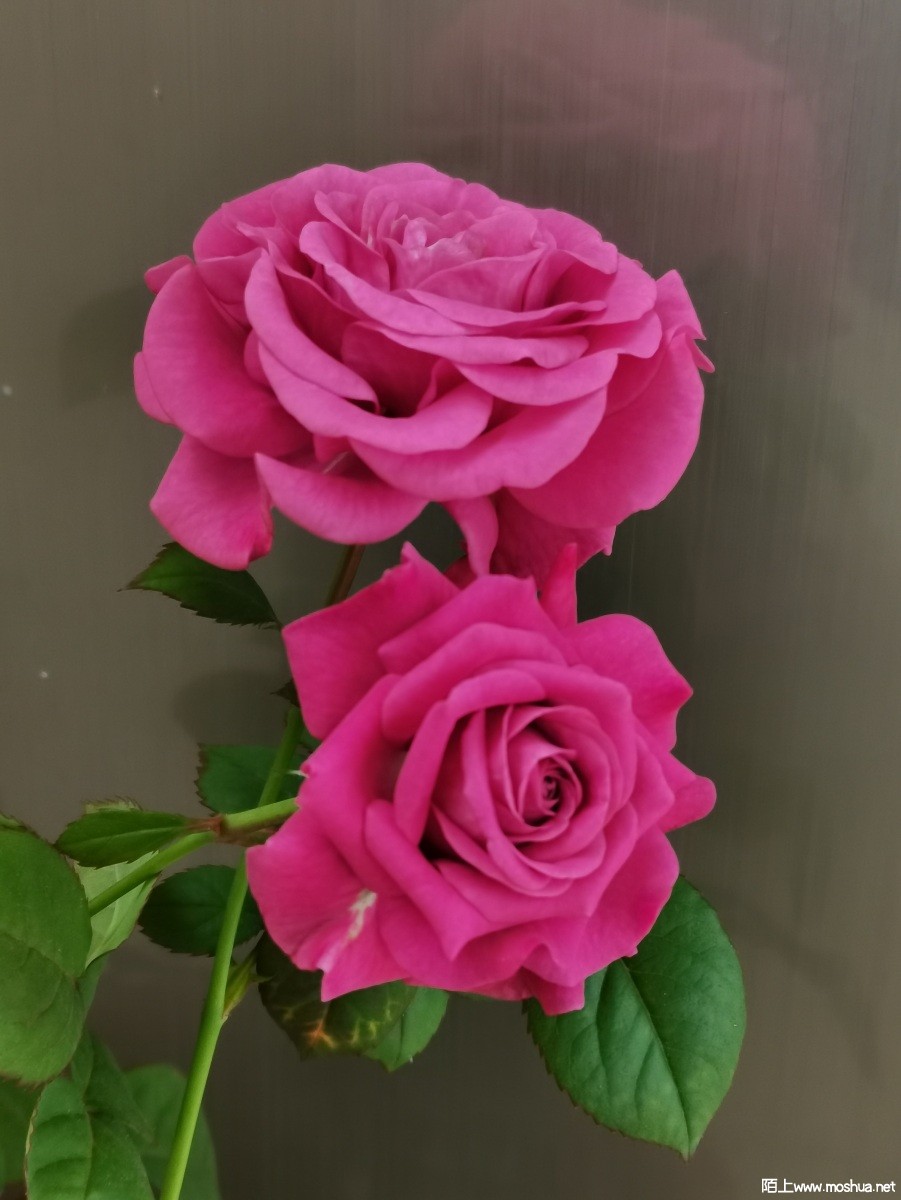 IMG_20220417_100318.jpg