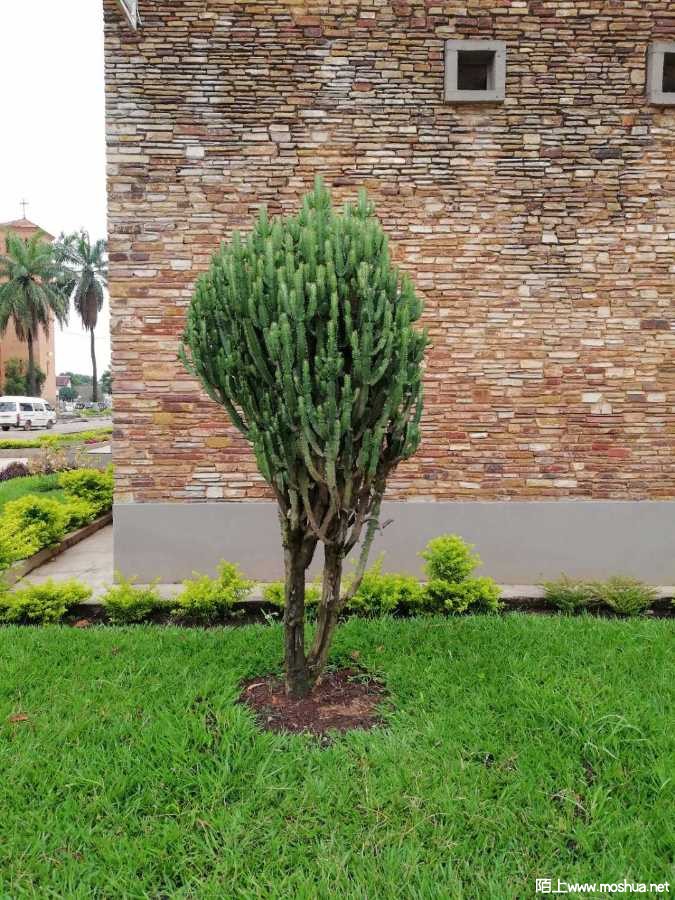 mmexport1650617913984.jpg