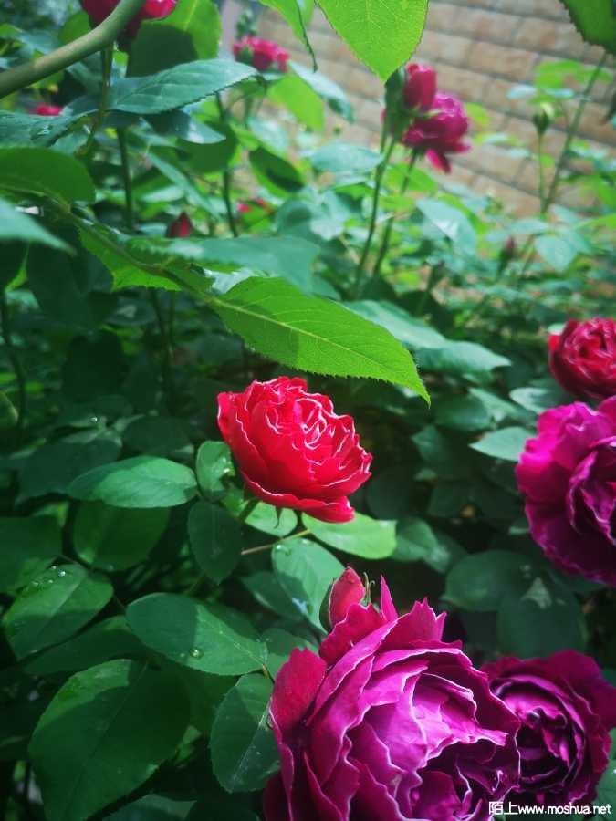IMG_20220423_115440.jpg
