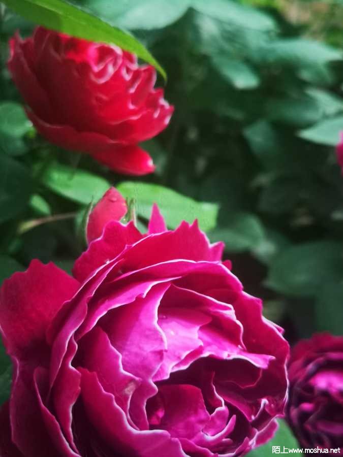 IMG_20220423_115556.jpg