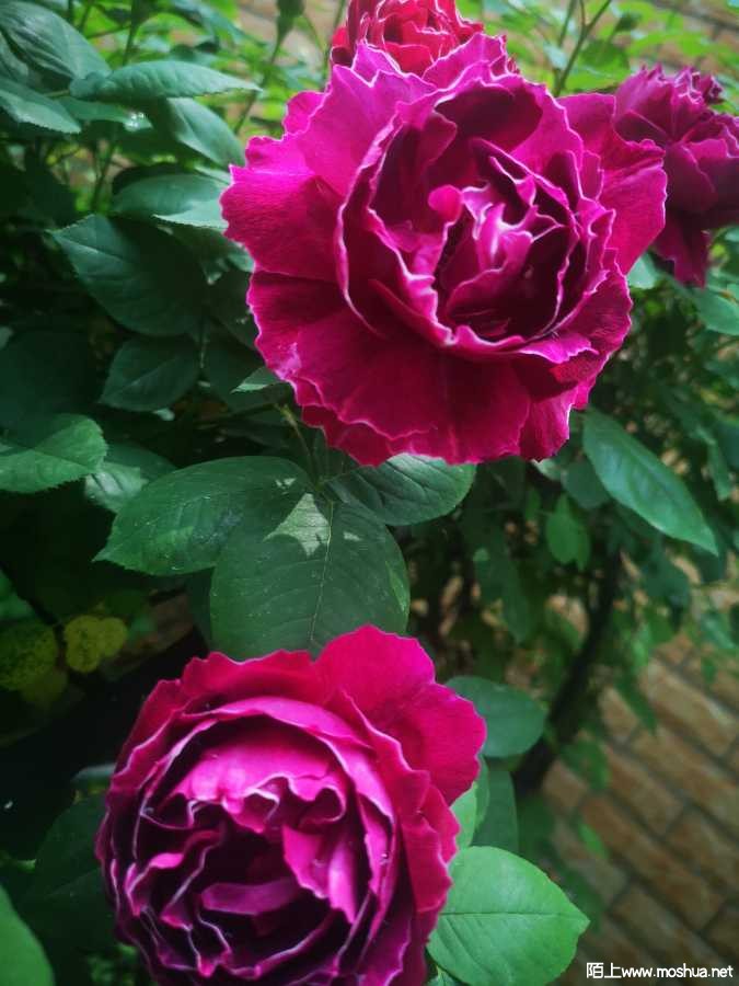 IMG_20220423_115647.jpg