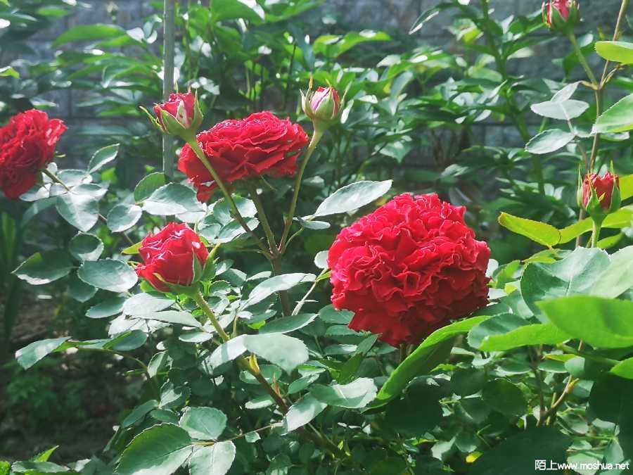 IMG_20220424_084930.jpg