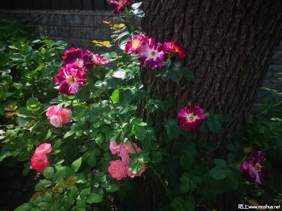 IMG_20220424_085115.jpg