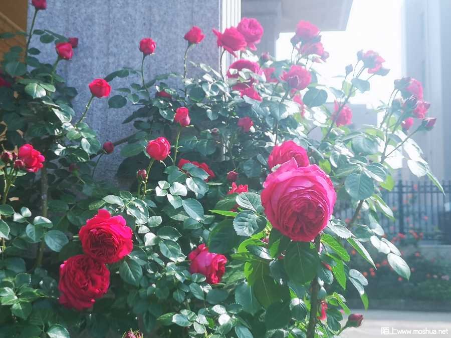 IMG_20220424_090244.jpg