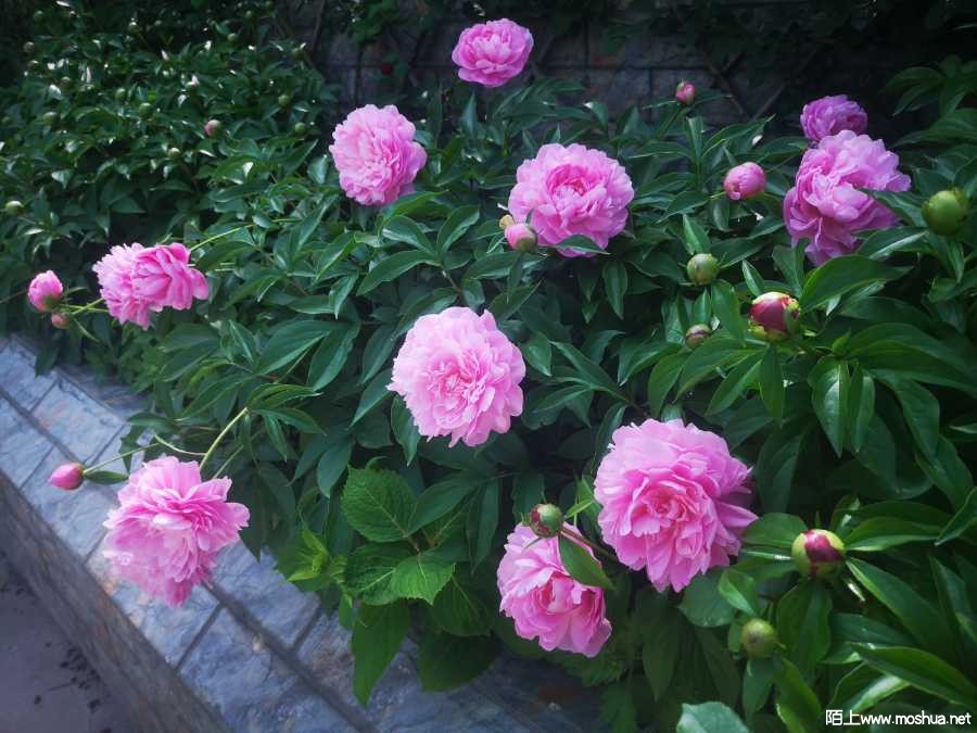 IMG_20220424_091613.jpg