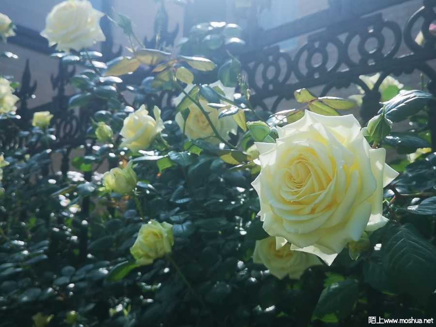 IMG_20220424_091717.jpg