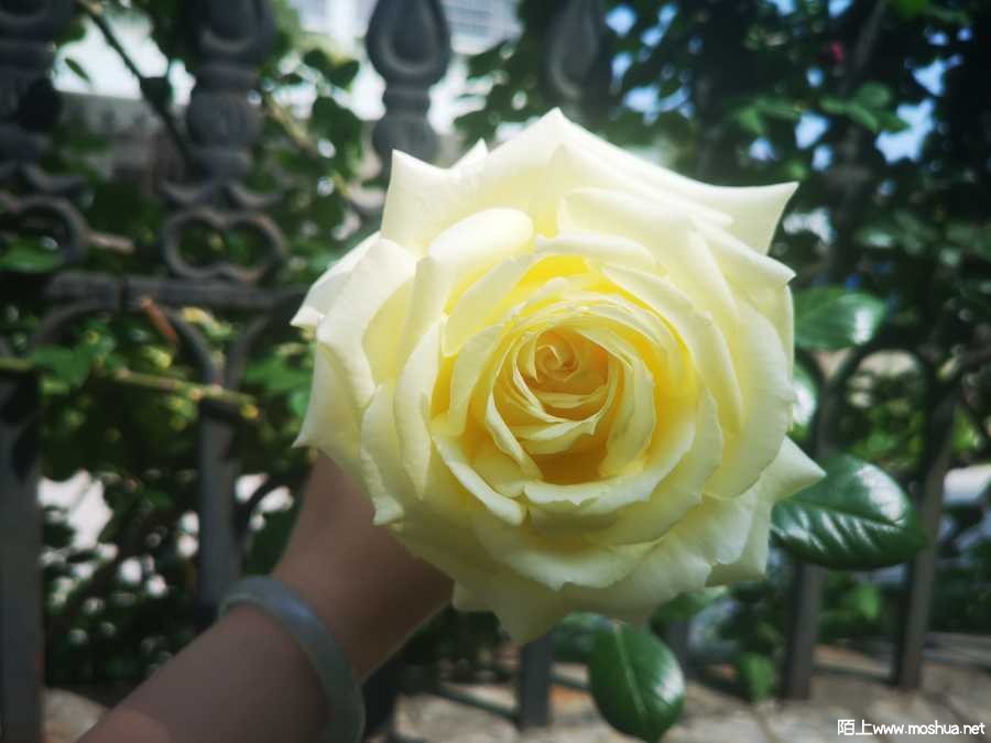 IMG_20220424_092050.jpg