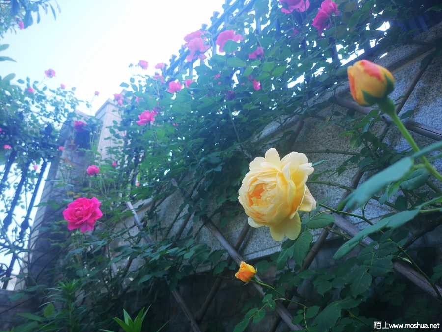 IMG_20220424_092135.jpg