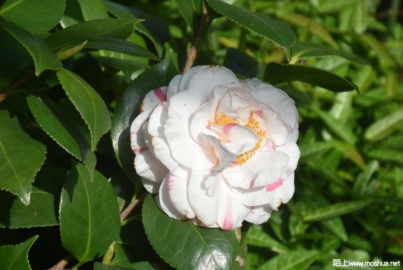 DSC_09280928.JPG