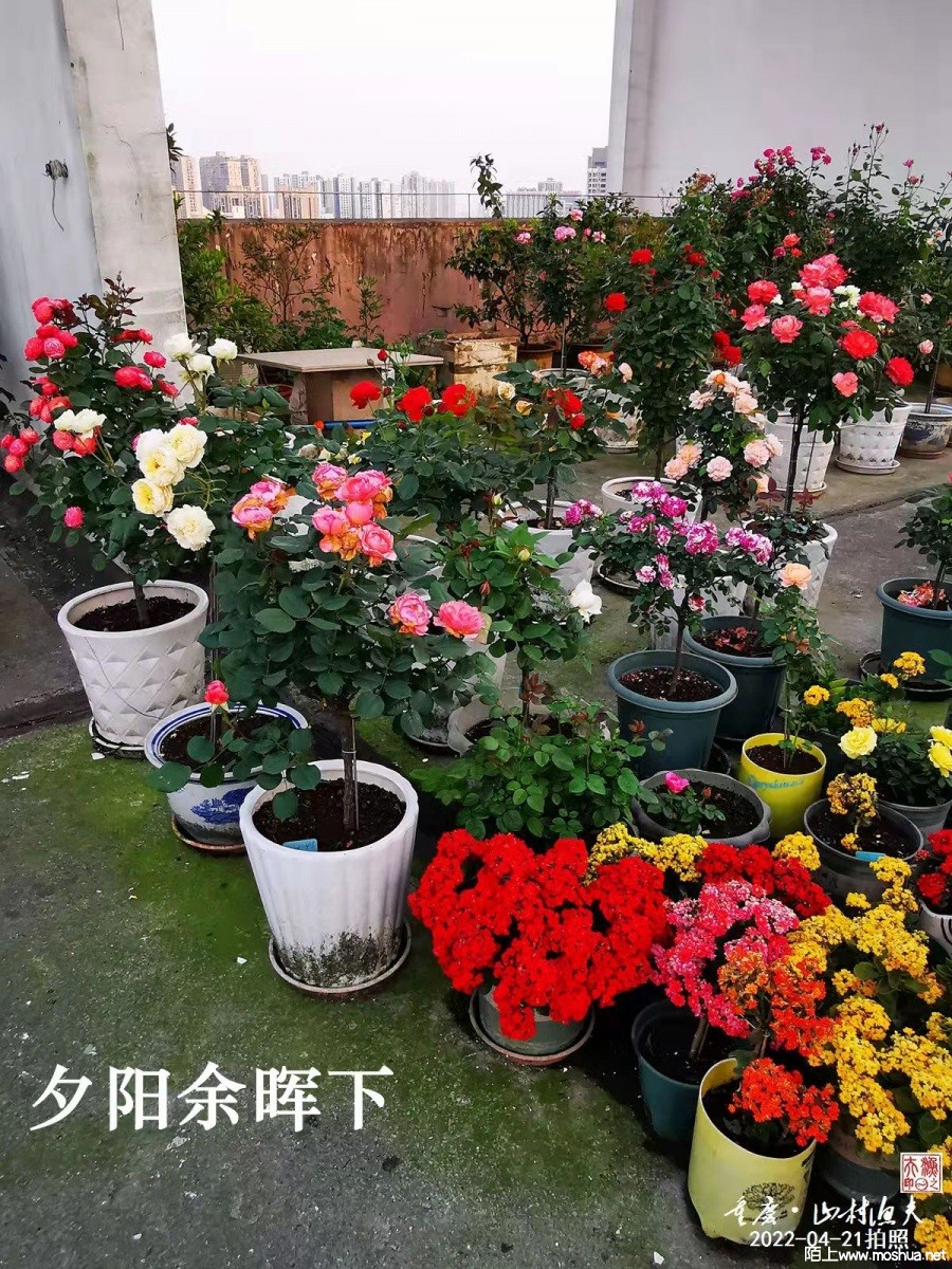 T01.jpg