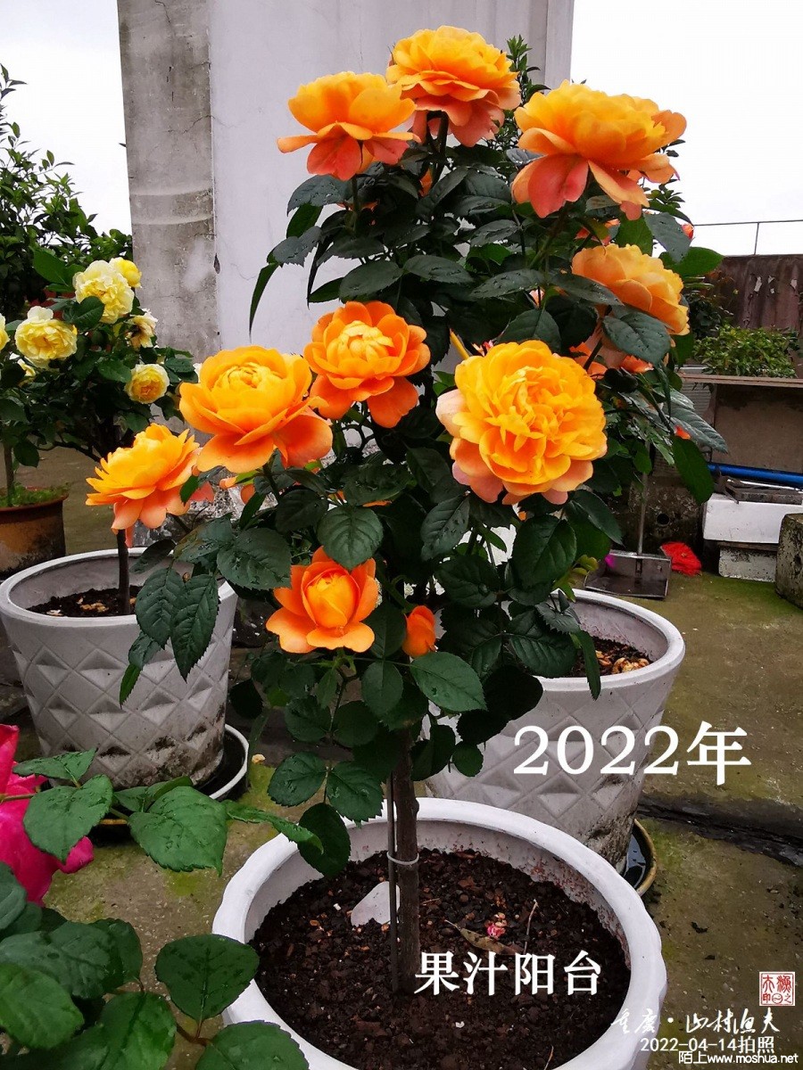 ��֭��̨2022-04-14.jpg