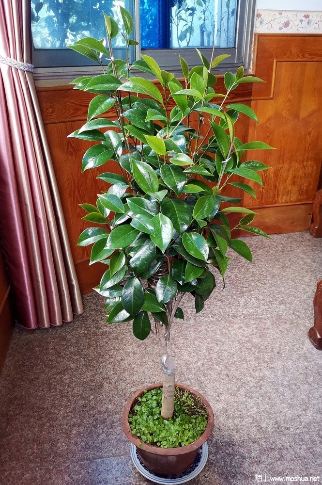 ������ŷ (21).jpg