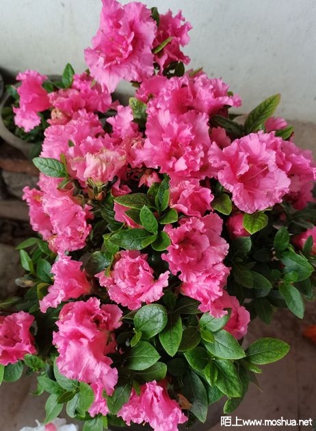 IMG_20220425_122430.jpg