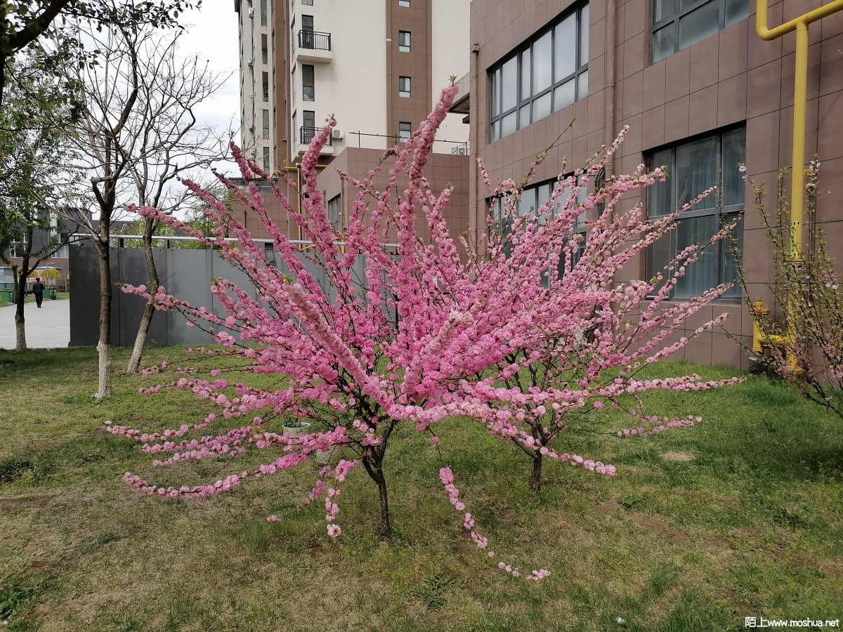 IMG_20220501_091346.jpg