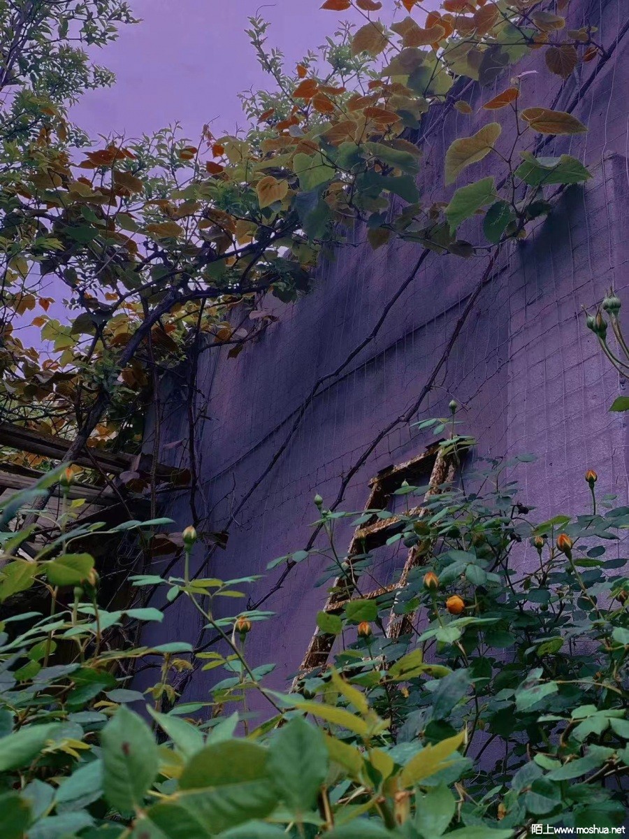 ΢��ͼƬ_20220505164043.jpg