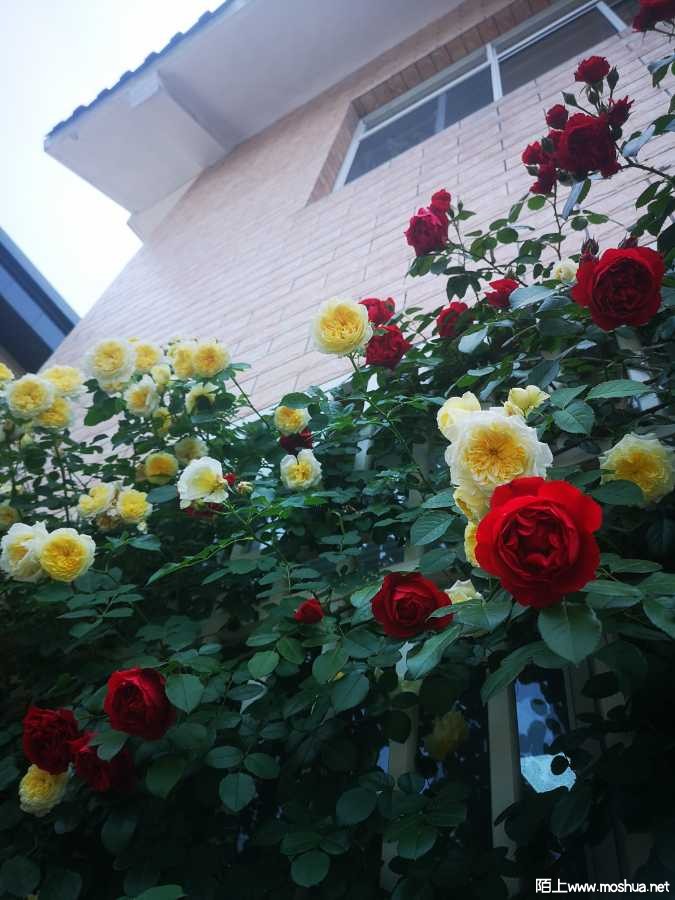 IMG_20220507_115434.jpg