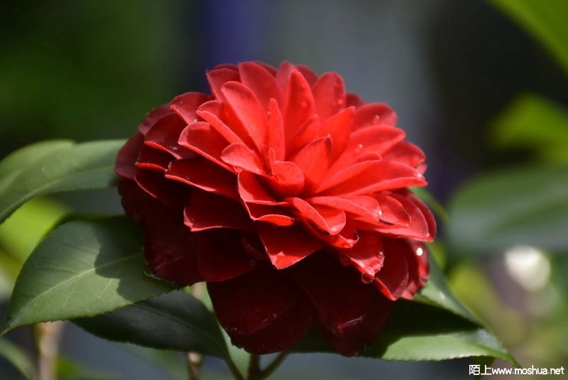 DSC_01420142.JPG