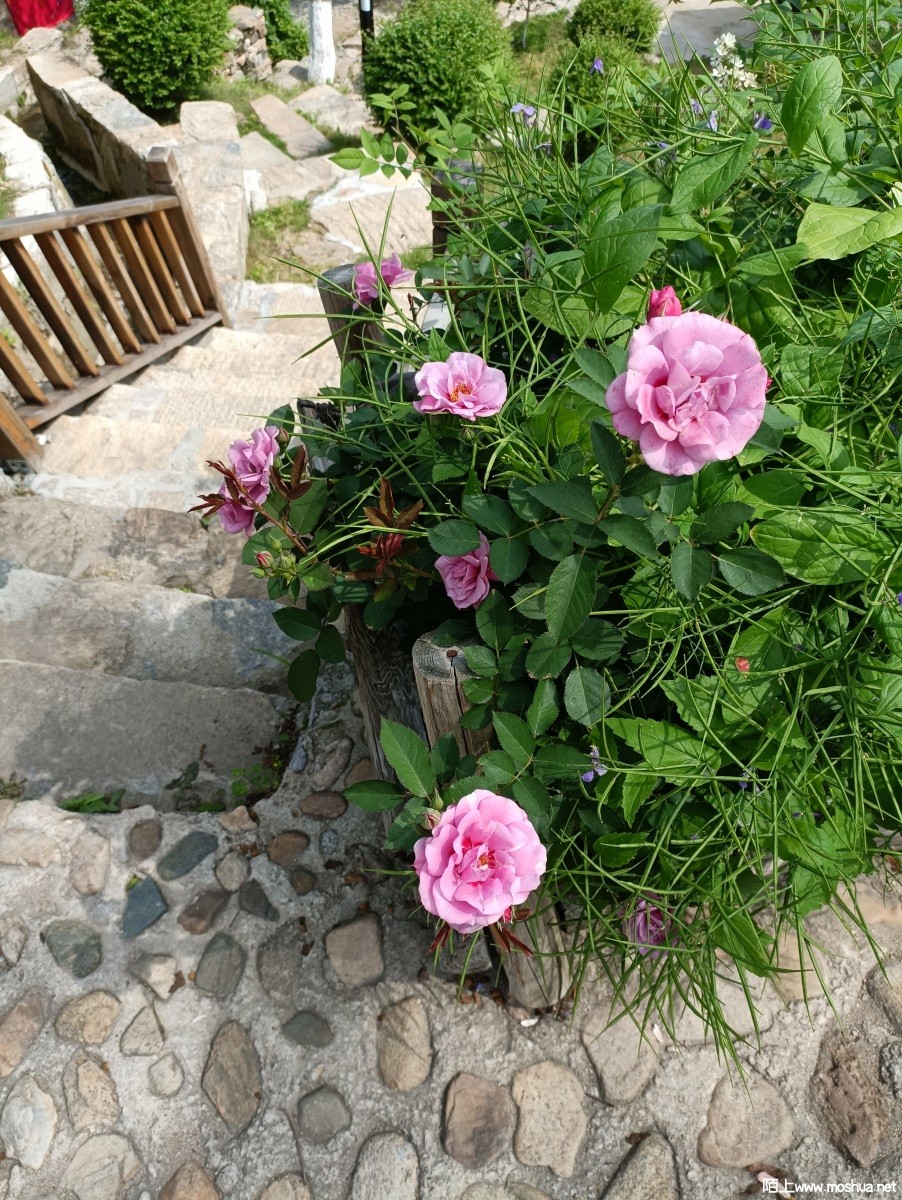 QQͼƬ20220511090003.jpg