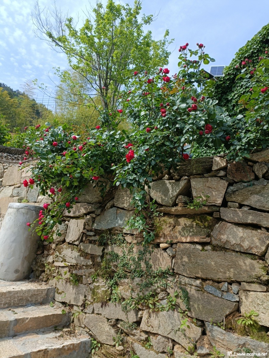 QQͼƬ20220511090053.jpg