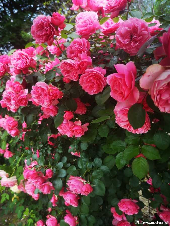 IMG_20220508_143357.jpg