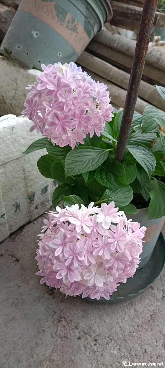 wx_camera_1652515148582.jpg