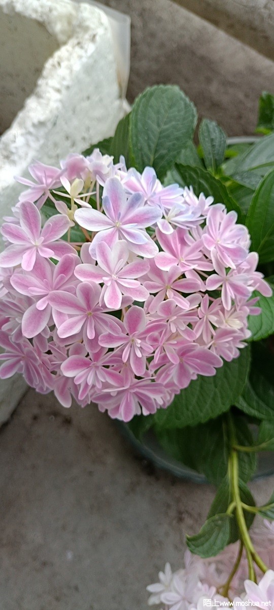 wx_camera_1652515155564.jpg