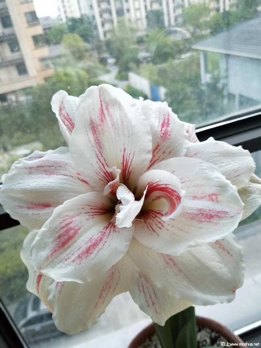 ΢��ͼƬ_20220519143800.jpg
