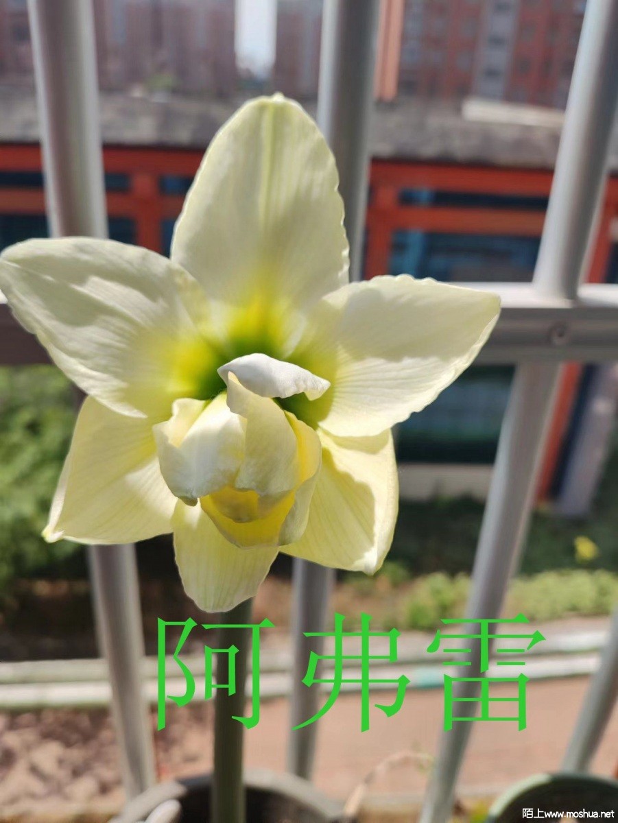 a96b18b9db33e166b318044a9721e8b.jpg