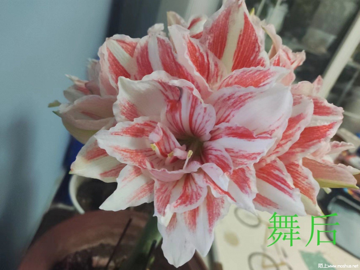 ff8fffd2f405b4503fabab2c2fee85b.jpg
