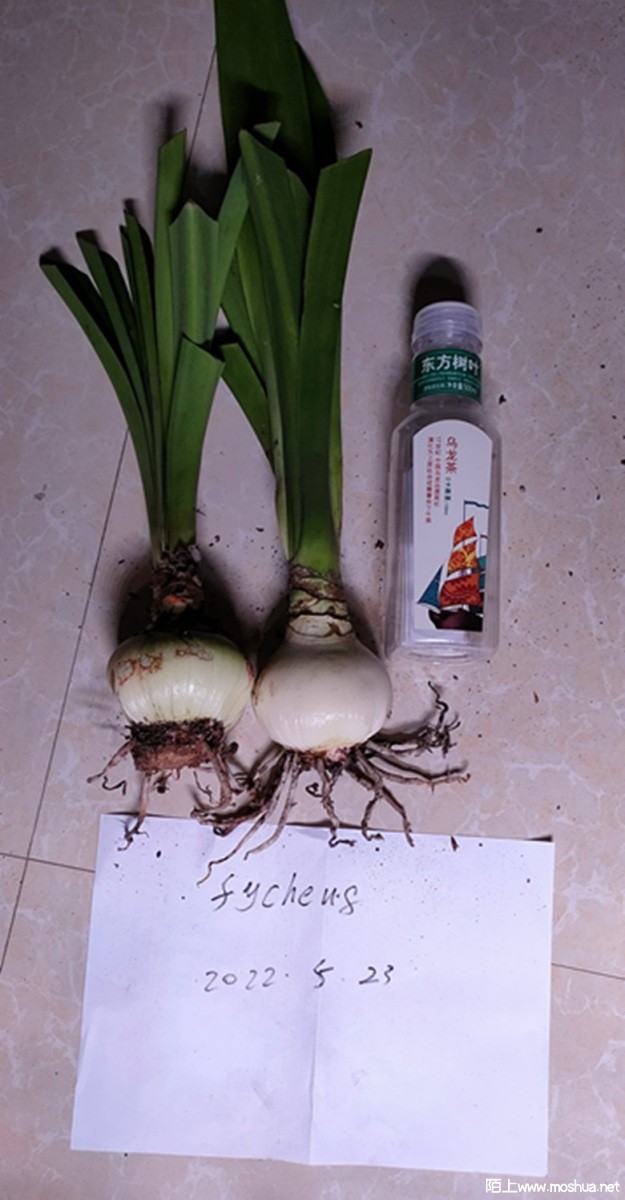IMG20220523214904.jpg