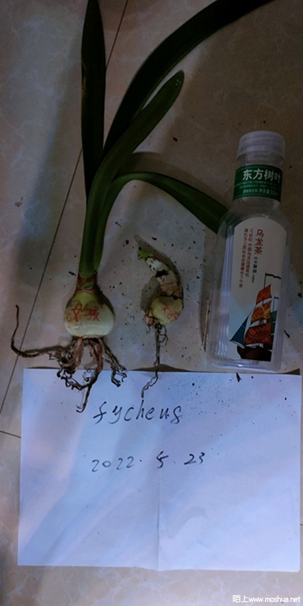 Ư��Ů��.jpg