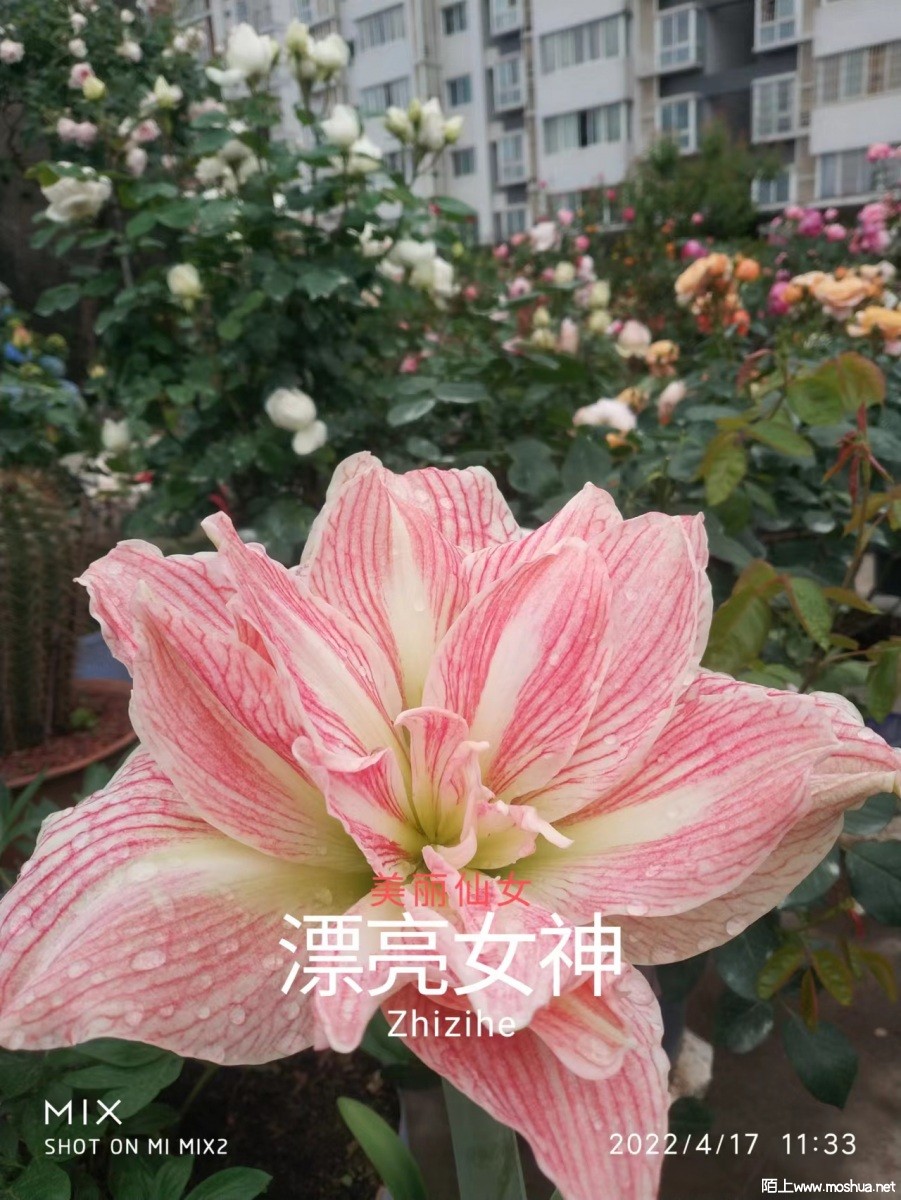 ΢��ͼƬ_20220510100242.jpg