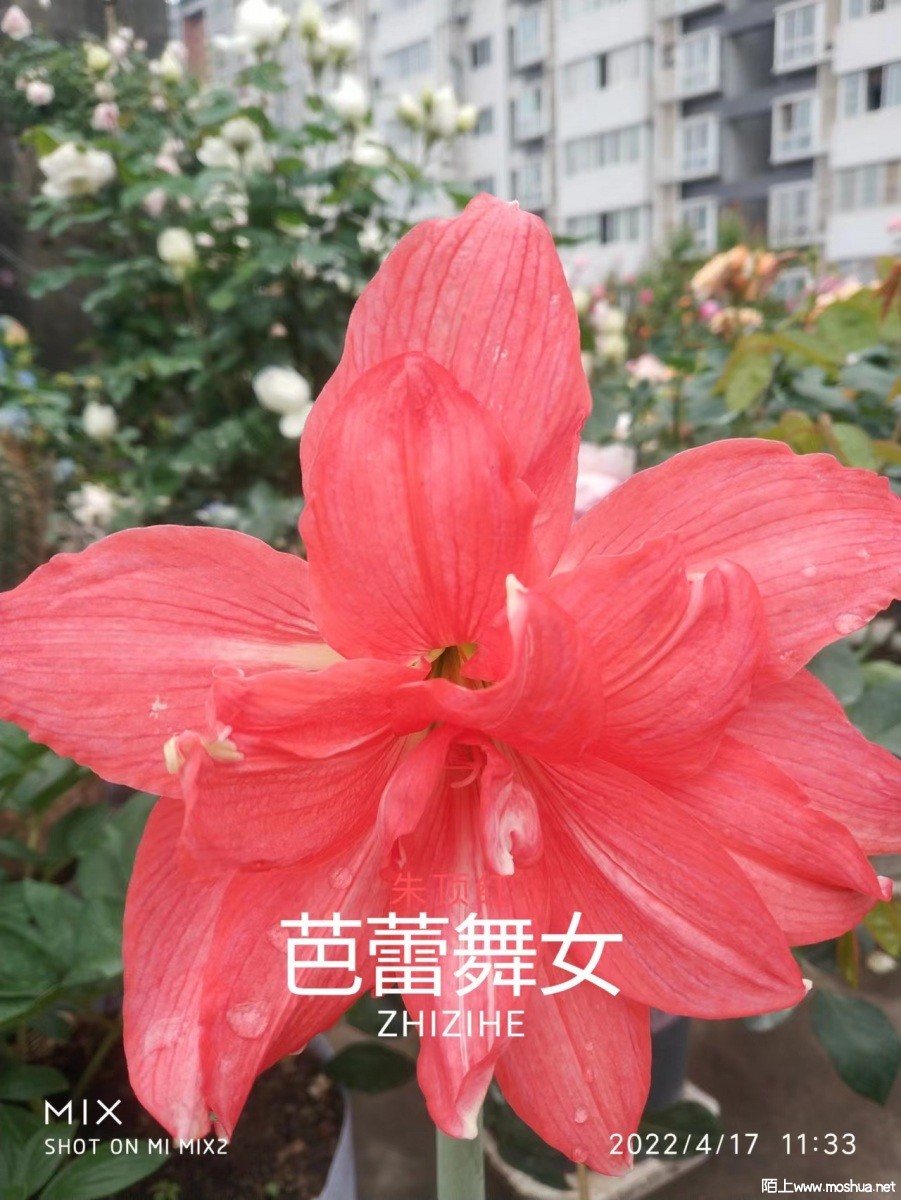 ΢��ͼƬ_20220510100246.jpg