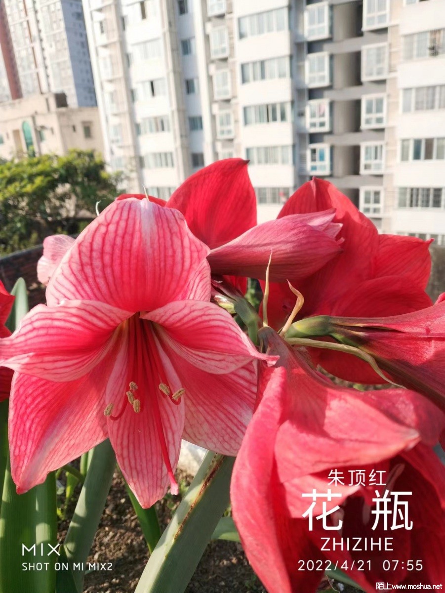 ΢��ͼƬ_20220510100250.jpg