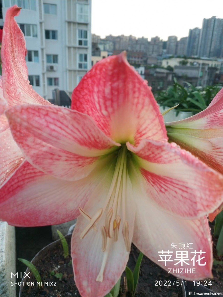 ΢��ͼƬ_20220510100355.jpg