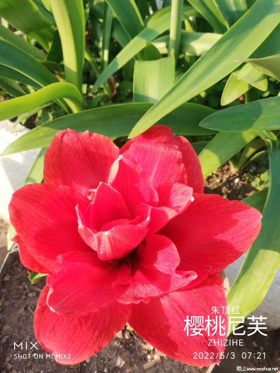 ΢��ͼƬ_20220510100402.jpg