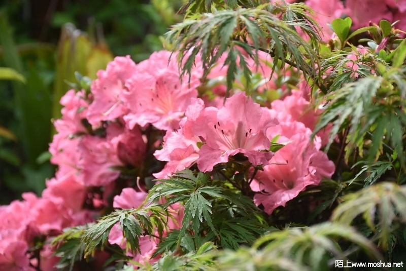 DSC_01030103.JPG