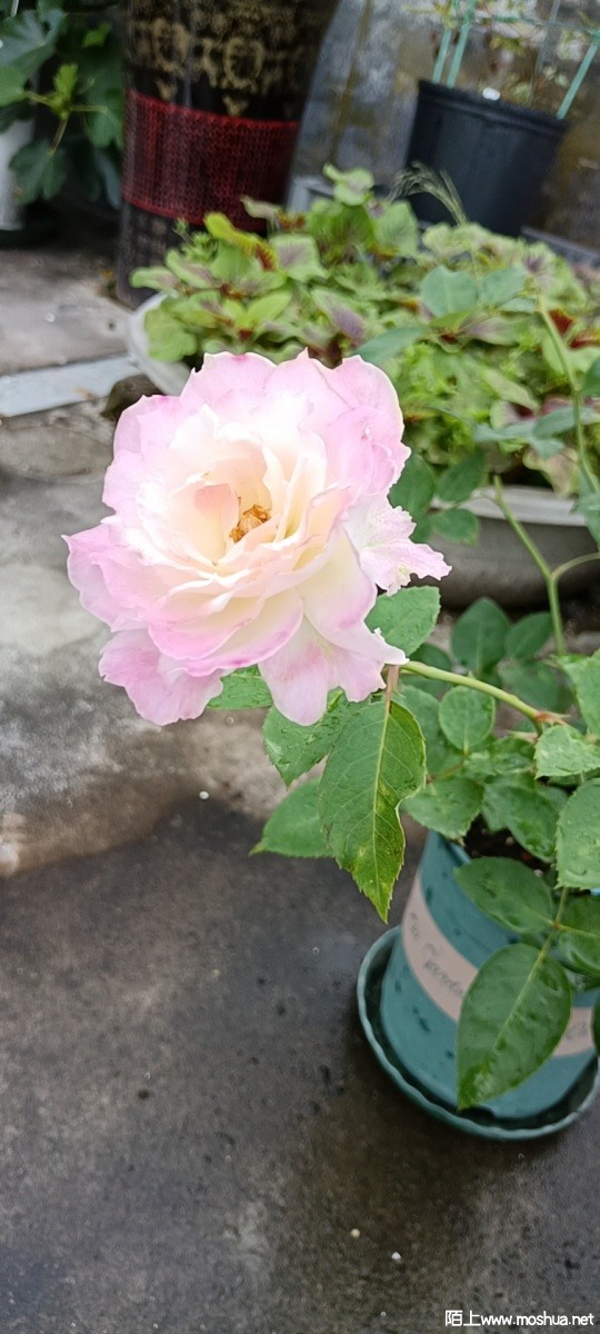 wx_camera_1654214187546.jpg