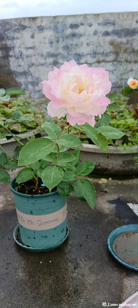 wx_camera_1654214257435.jpg