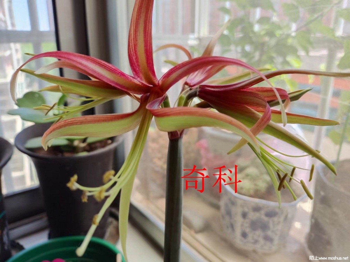 ΢��ͼƬ_202206061452212.jpg