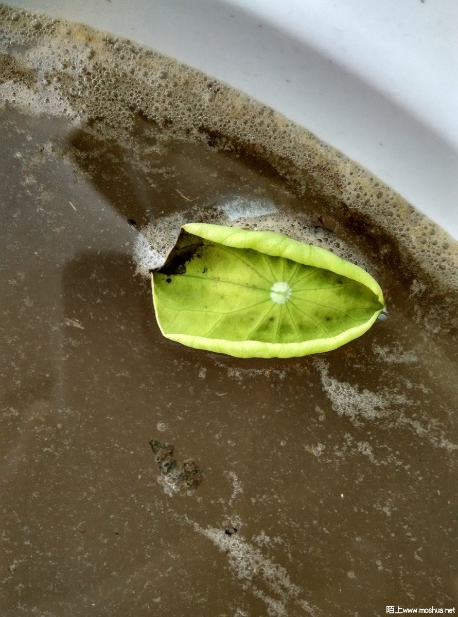IMG_4.jpg