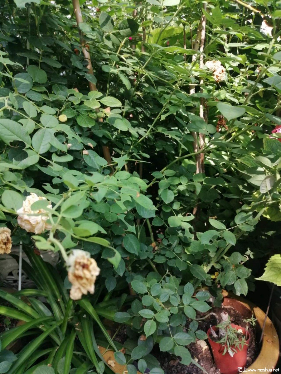 ΢��ͼƬ_20220902170007.jpg