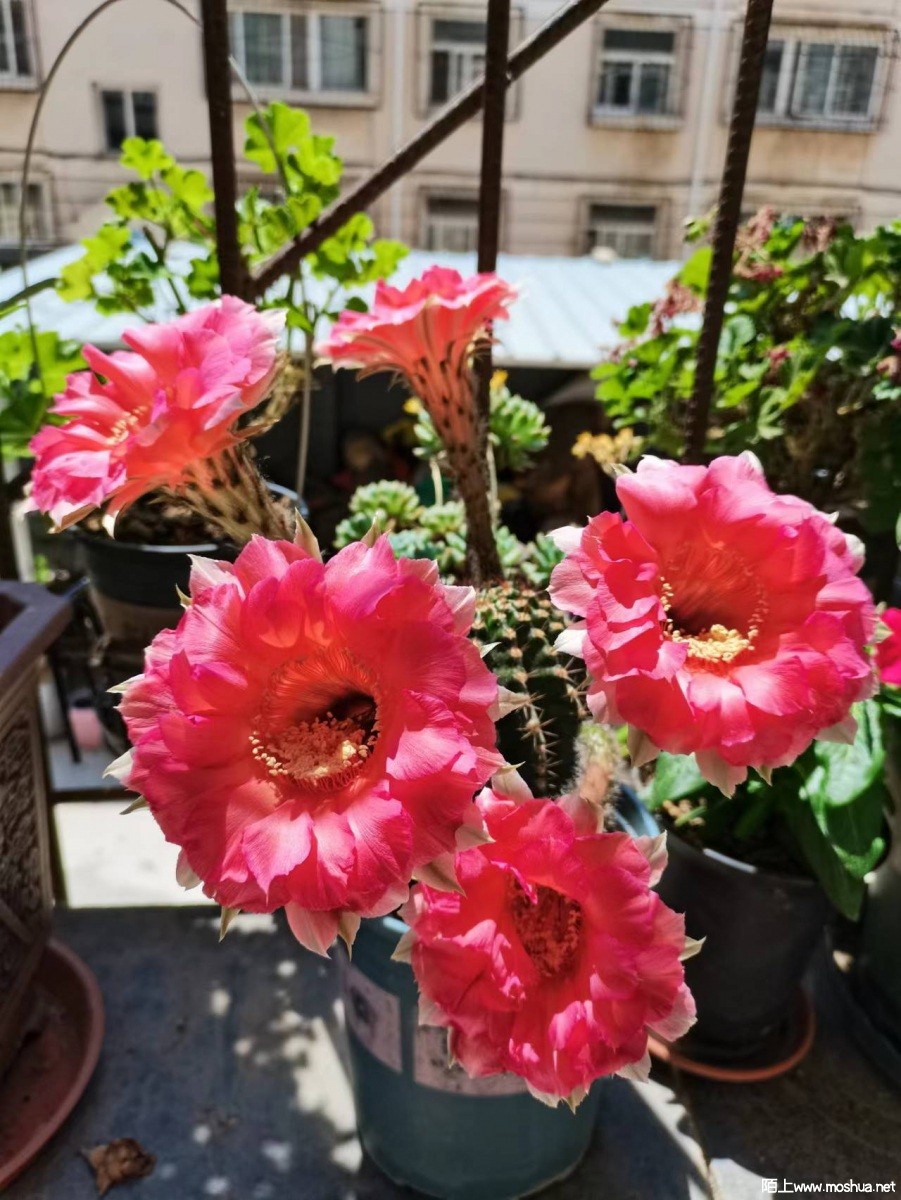 ΢��ͼƬ_20220908153852.jpg