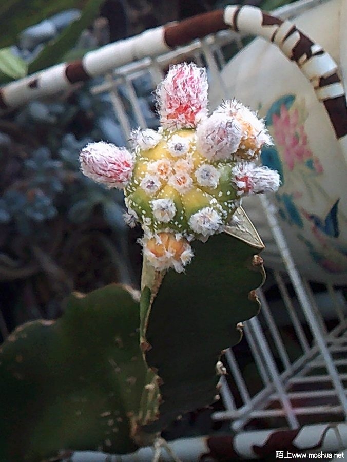 DSCF0002.JPG