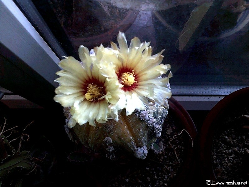 DSCF0013.JPG