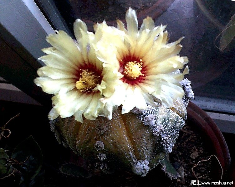 DSCF0014.JPG