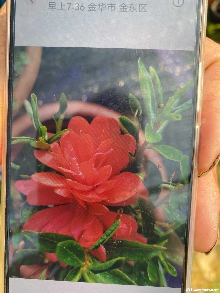 1663570379991678282.jpg