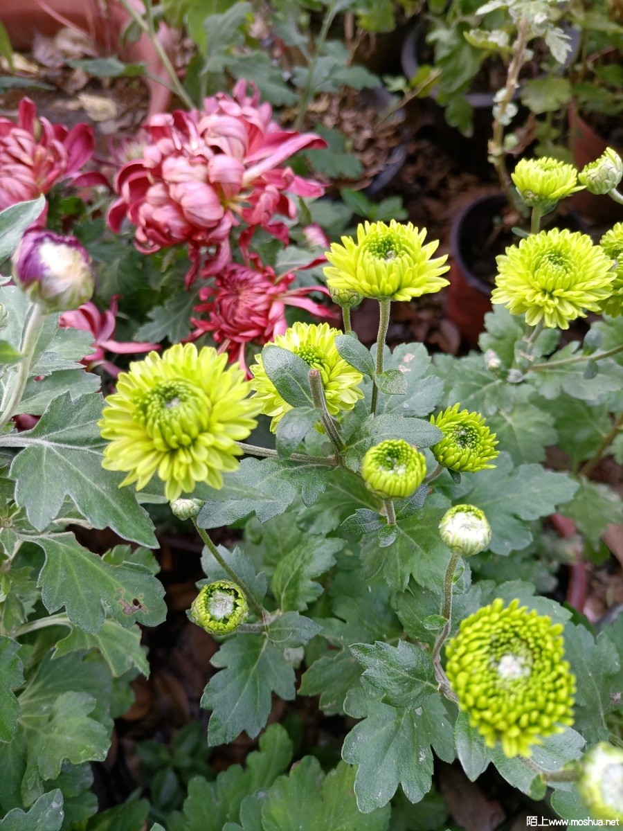 ΢��ͼƬ_20221109114158.jpg