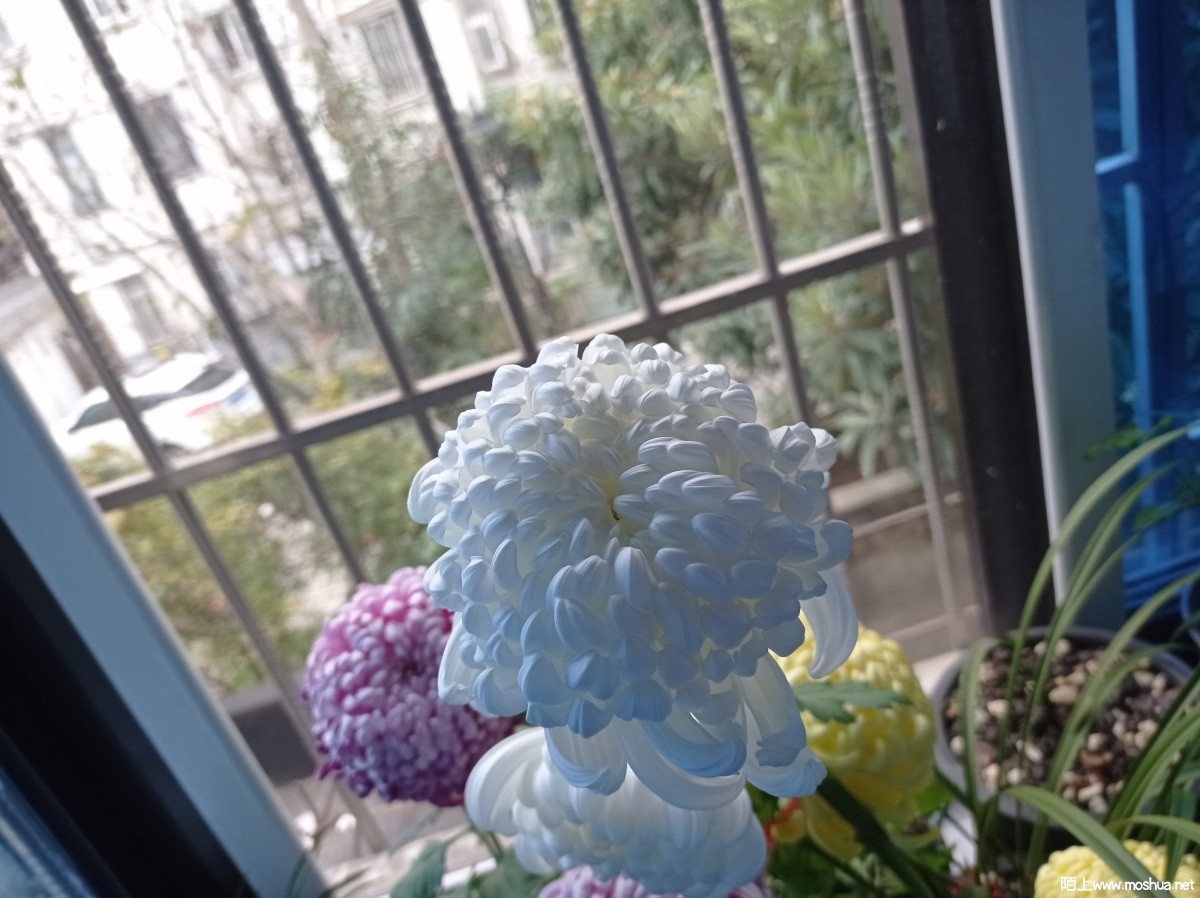 ΢��ͼƬ_20221127180321.jpg